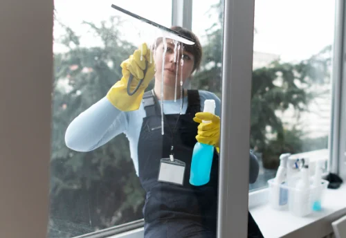 Nettoyage de vitres intérieures et extérieures à Fénay